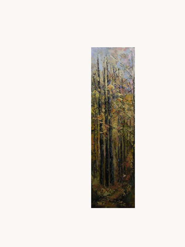 paisaje