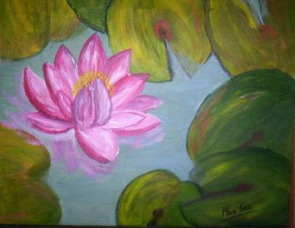 Nenufar rosa