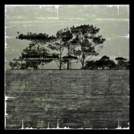 Horizons