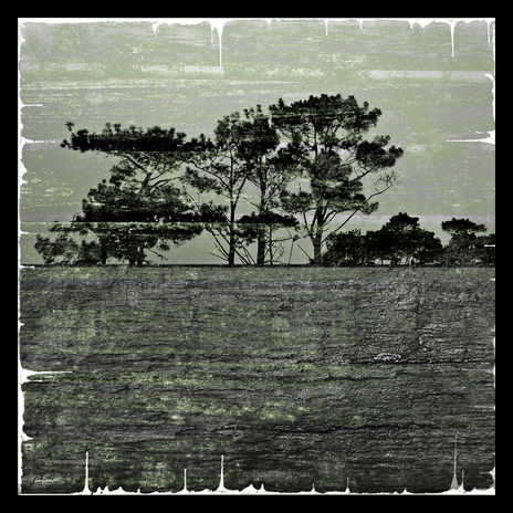 Horizons