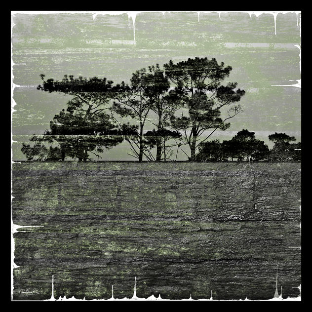 Horizons