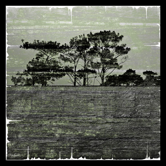 Horizons Nature Color (Digital)