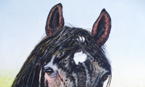 caballos