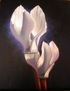 LUZ