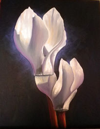 Luz