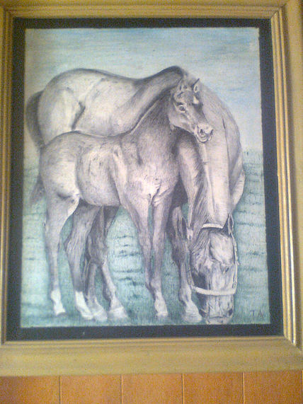 Ternura animal