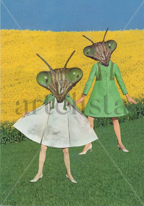 Alienigenas...