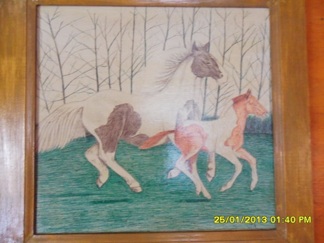 galope de caballos