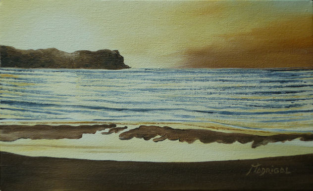 Charcas en la playa