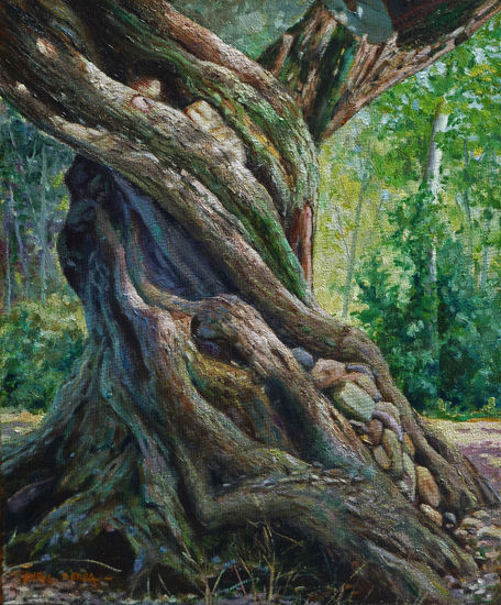 Tronco de olivo nº 1 / Olive tree trunk nº 1. Oil Canvas Landscaping