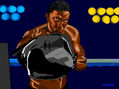BOXEADOR.
