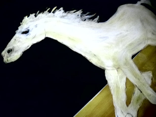 COMPOSICION VLAS CABALLO BLANCO 1/3