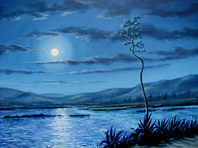 "LAGUNA DE SAN NICOLAS" Oil Canvas Landscaping