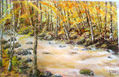 Rio Pance primaveral