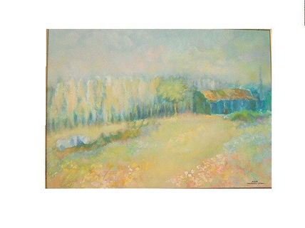 Paisaje de campo