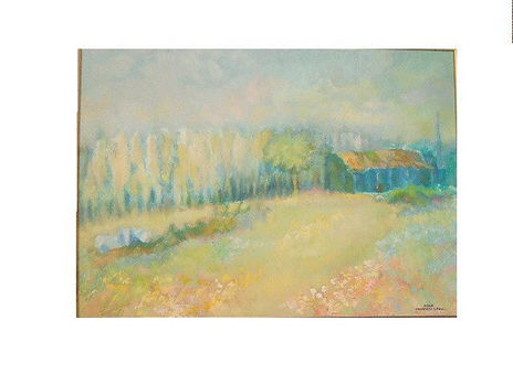 Paisaje de campo