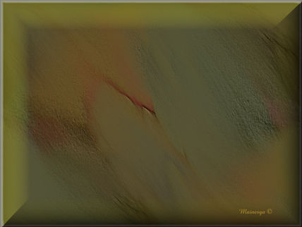Abstract-XV