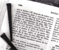 Mateo