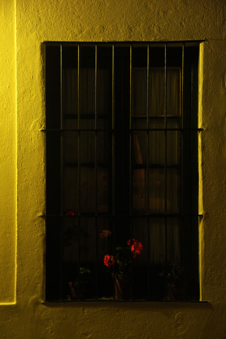Ventana