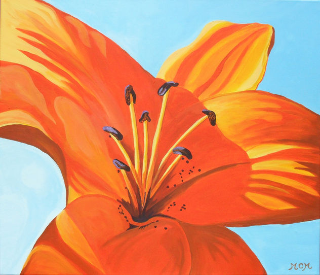 Recuerdos de mi jardín: Lilium