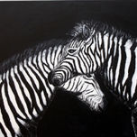 CONTRASTES thumbnail 1