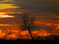 AMANECER 2013