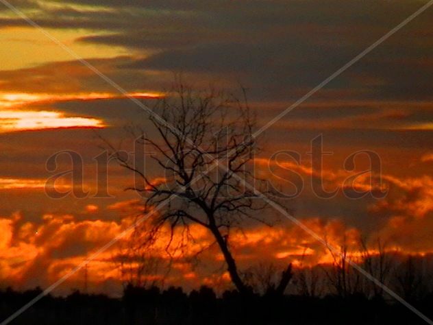 AMANECER 2013