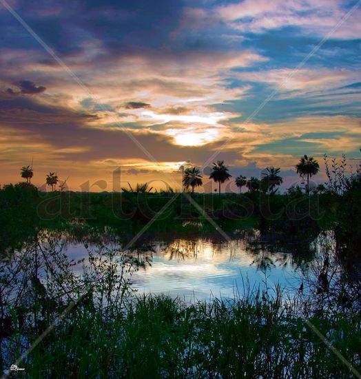 Esteros de Camaguán (Venezuela) Naturaleza Color (Digital)