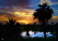 Atardecer en el Llano venezolano