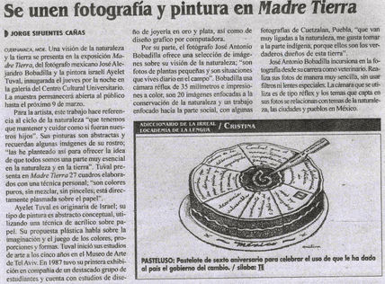 Articolo