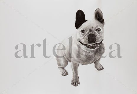 Perro 01