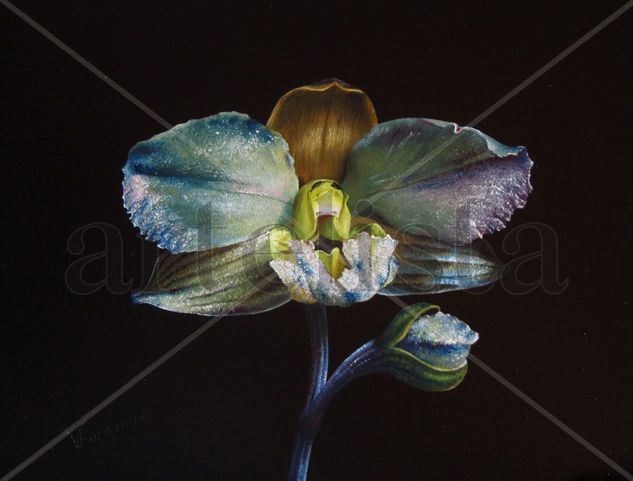 43-ORQUÍDEA Oil Panel Floral Painting