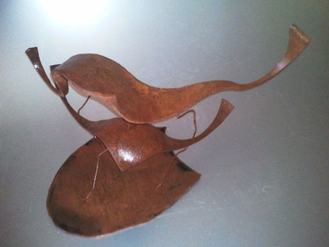 Acuatica