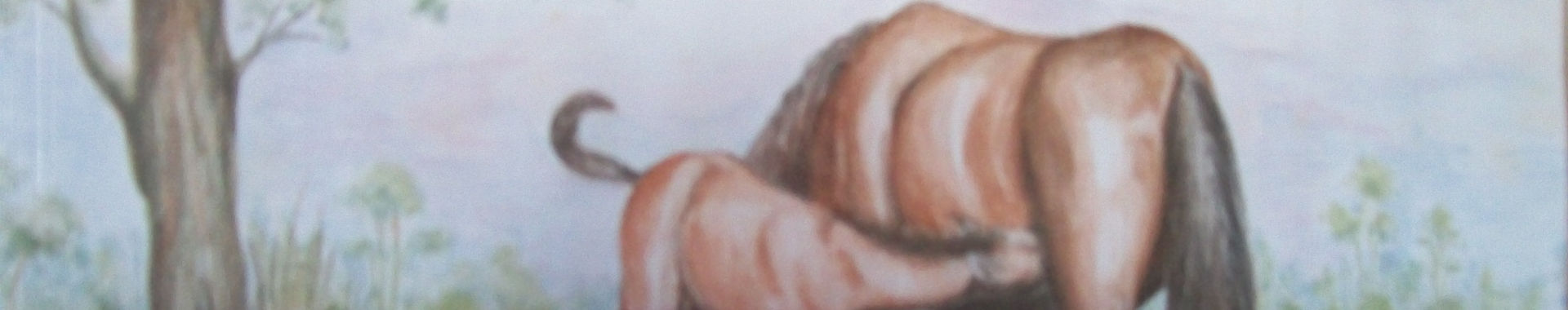 Imagen de portada