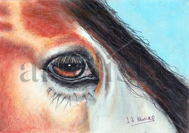 Ojo caballo Pencil