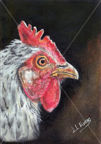 Gallina Pencil