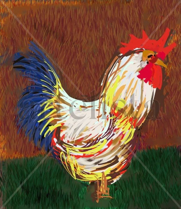 Gallo