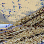 Poesia thumbnail 2