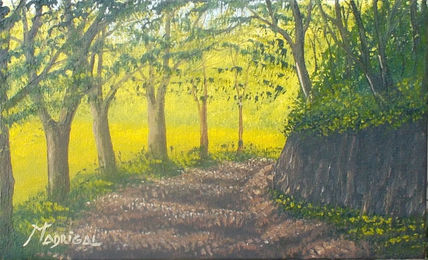Sendero sombreado