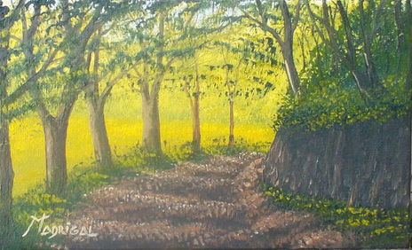 Sendero sombreado