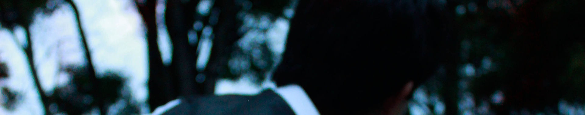 Imagen de portada