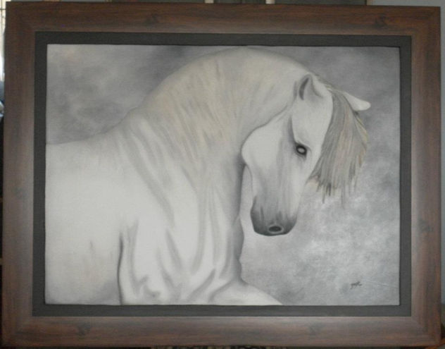 corcel blanco