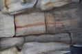 PARED ACANTILADO