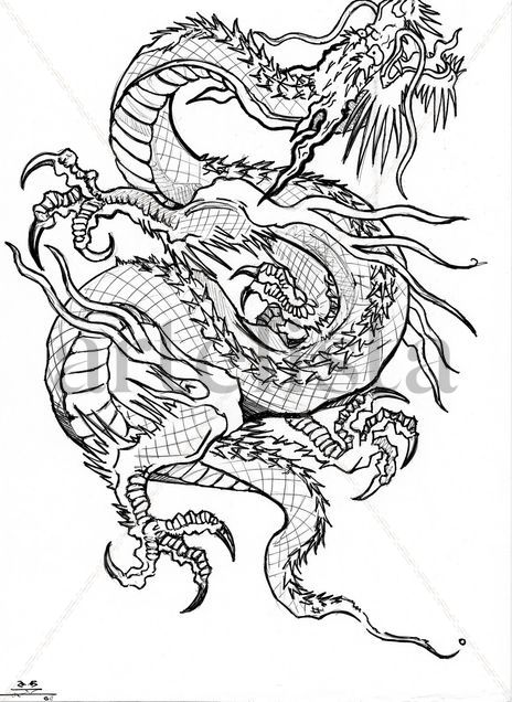 Dragón Chino