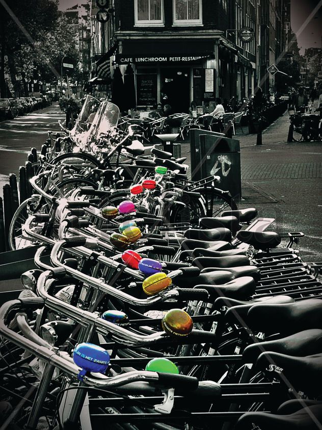 Ride the rainbow
