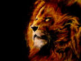 leon