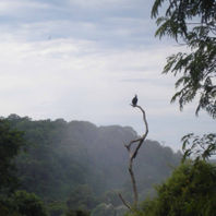 obra
