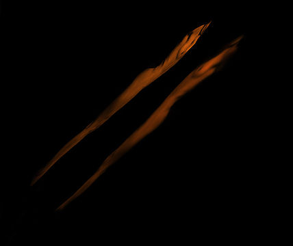 El reflejo oscuro