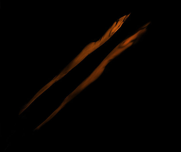 el reflejo oscuro