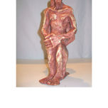 ADN thumbnail 1